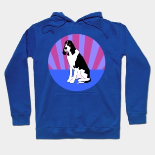 Dog Hoodie